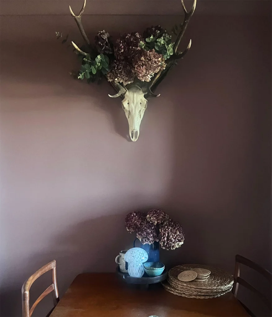Living Room Colour Ideas. A small wooden dining table with two chairs, a centrepiece of dried hydrangeas, plates, and a blue decorative item. Above, a deer skull with antlers decorated with flowers and greenery is mounted on a mauve wall.