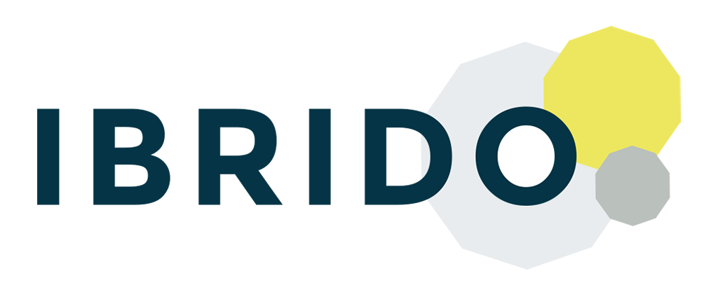 The image shows the word BIRDO in bold, dark blue letters. The second O is surrounded by two circular shapes, one light grey and one yellow, with a small grey hexagon nearby.